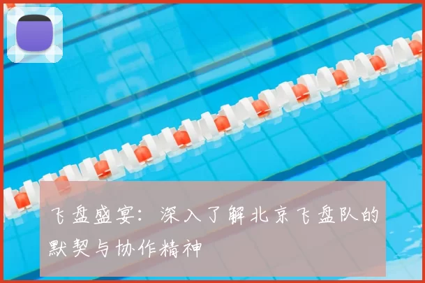 飞盘盛宴:深入了解北京飞盘队的默契与协作精神