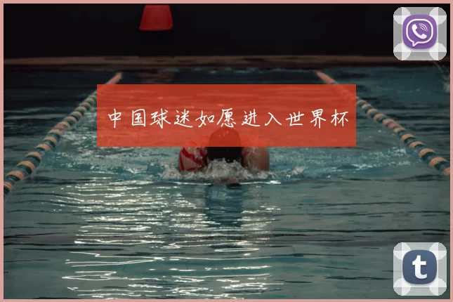 中国球迷如愿进入世界杯