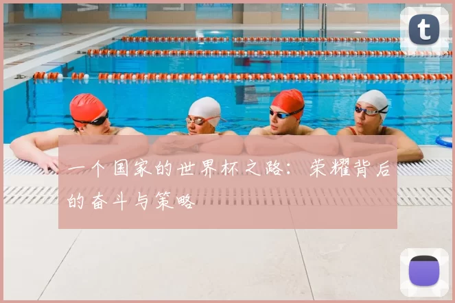 一个国家的世界杯之路：荣耀背后的奋斗与策略