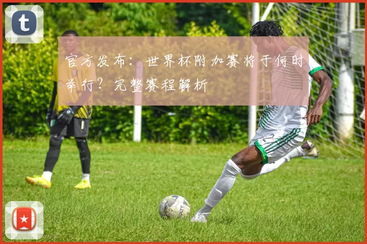 官方发布:世界杯附加赛将于何时举行?完整赛程解析