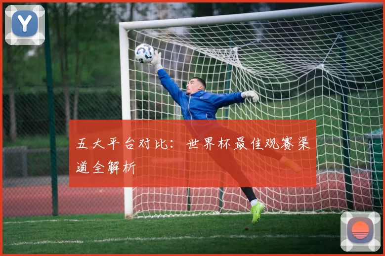 五大平台对比：世界杯最佳观赛渠道全解析