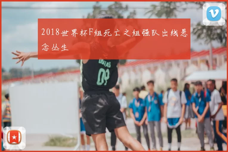 2018世界杯F组死亡之组强队出线悬念丛生