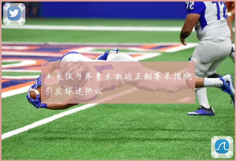 米竞技与弗鲁米激战正酣赛果揭晓引发球迷热议