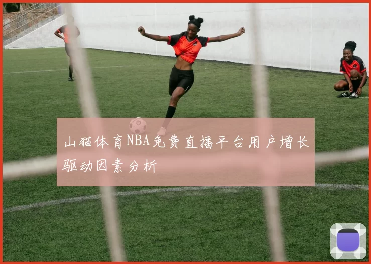 山猫体育NBA免费直播平台用户增长驱动因素分析
