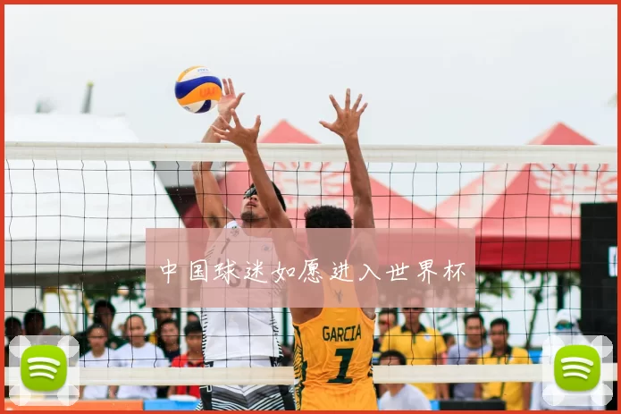 中国球迷如愿进入世界杯