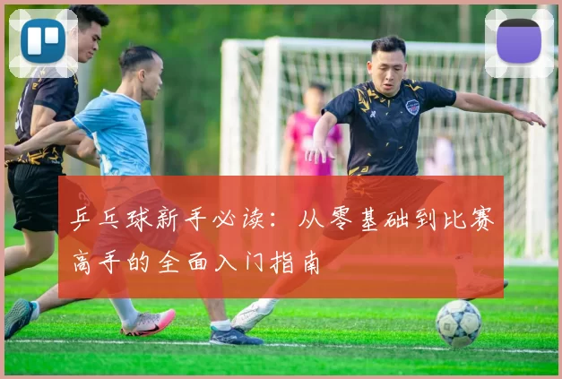 乒乓球新手必读：从零基础到比赛高手的全面入门指南