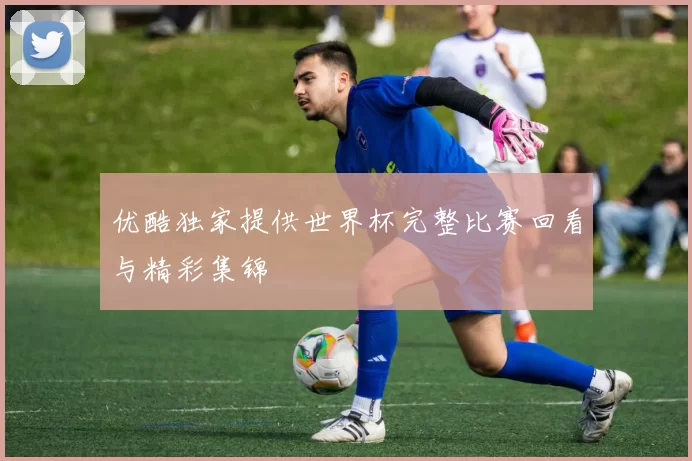 优酷独家提供世界杯完整比赛回看与精彩集锦