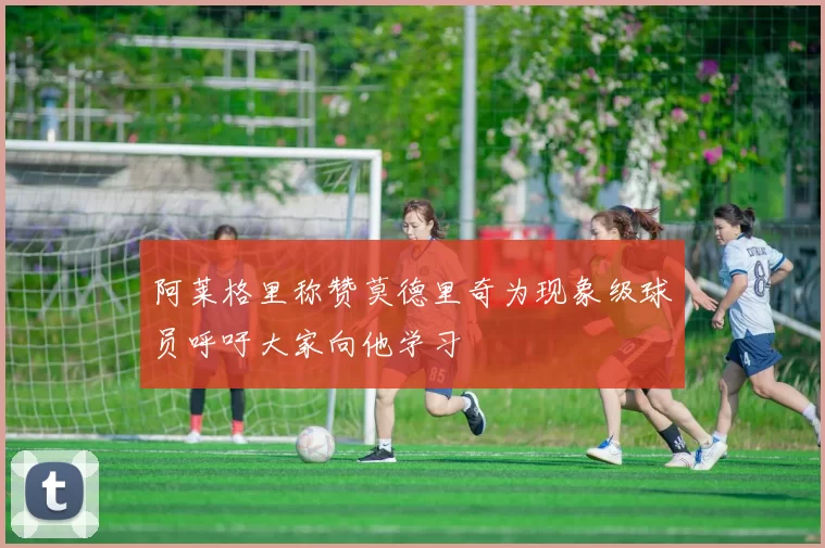 阿莱格里称赞莫德里奇为现象级球员呼吁大家向他学习