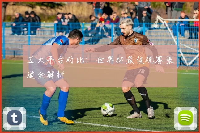 五大平台对比:世界杯最佳观赛渠道全解析