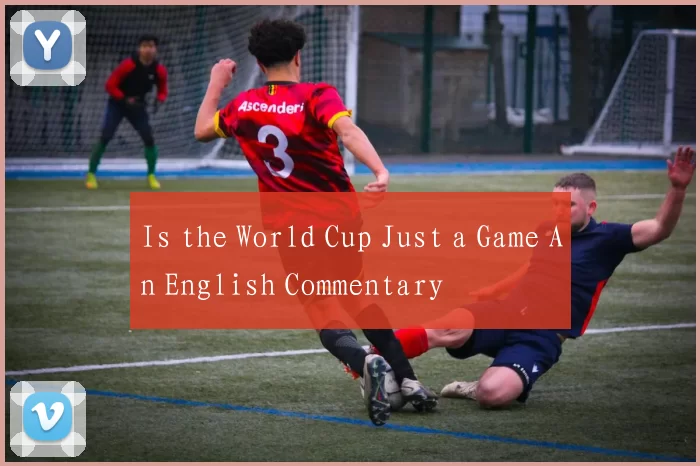 Is the World Cup Just a Game An English Commentary