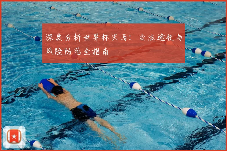 深度分析世界杯买马:合法途径与风险防范全指南